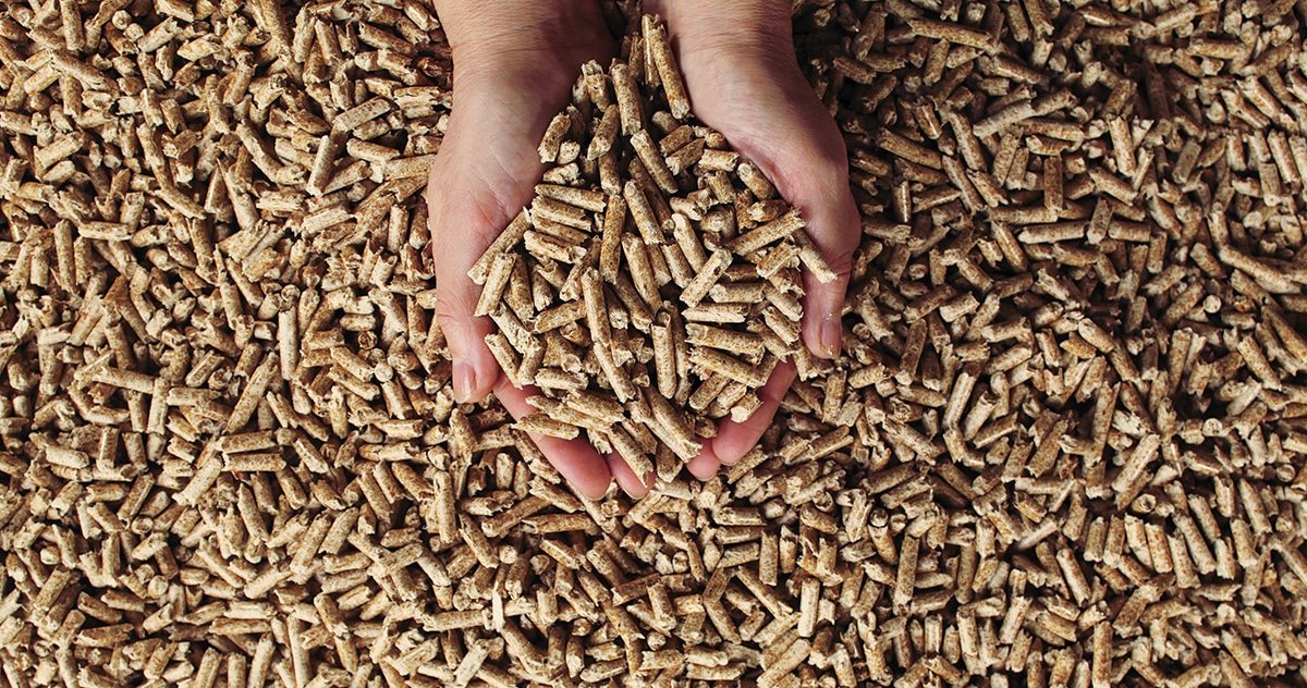pellets-1200-628