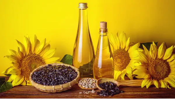 Sunflower Oil For Hair Fall